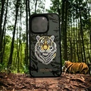 Group Nemo number Case(340)