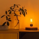 Decor Lamp